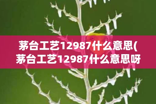 茅台工艺12987什么意思(茅台工艺12987什么意思呀)