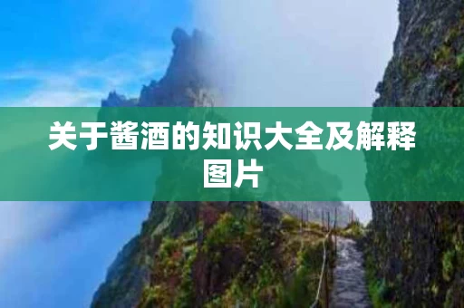 关于酱酒的知识大全及解释图片