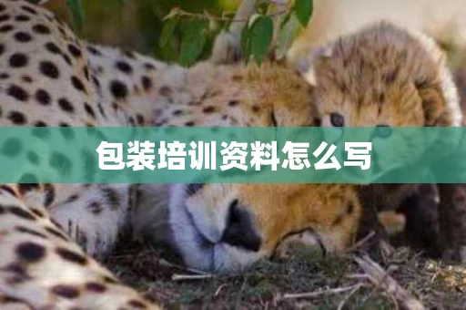 包装培训资料怎么写
