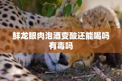鲜龙眼肉泡酒变酸还能喝吗有毒吗