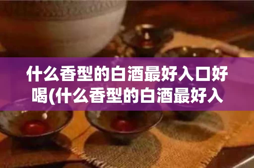 什么香型的白酒最好入口好喝(什么香型的白酒最好入口好喝一点)