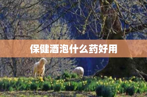 保健酒泡什么药好用