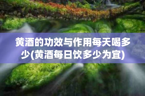 黄酒的功效与作用每天喝多少(黄酒每日饮多少为宜)