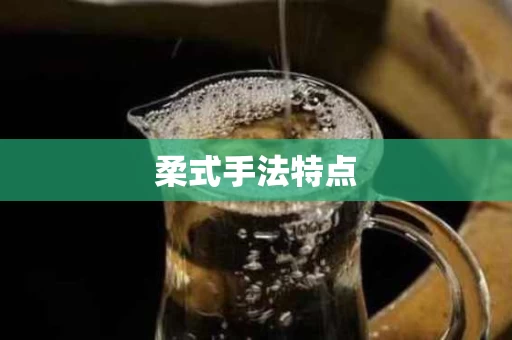 柔式手法特点