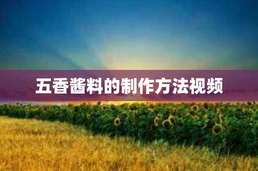 五香酱料的制作方法视频