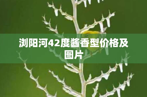 浏阳河42度酱香型价格及图片