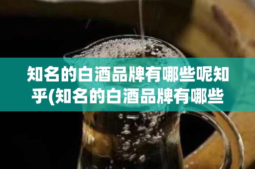 知名的白酒品牌有哪些呢知乎(知名的白酒品牌有哪些呢知乎文章)
