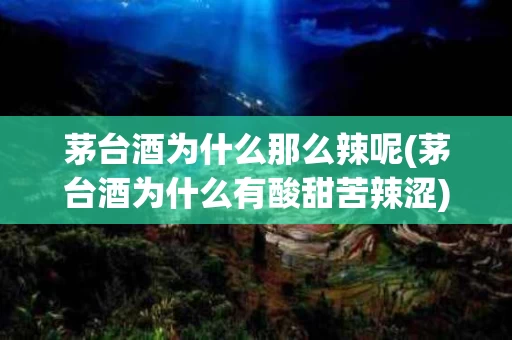 茅台酒为什么那么辣呢(茅台酒为什么有酸甜苦辣涩)