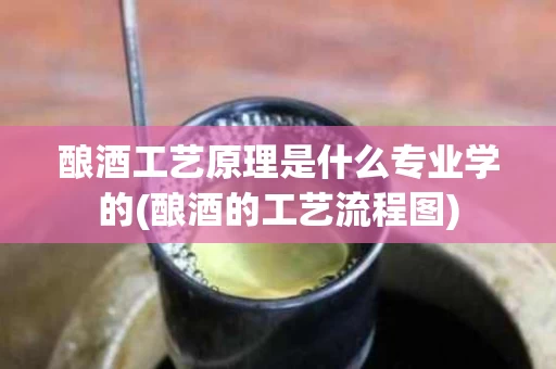 酿酒工艺原理是什么专业学的(酿酒的工艺流程图)