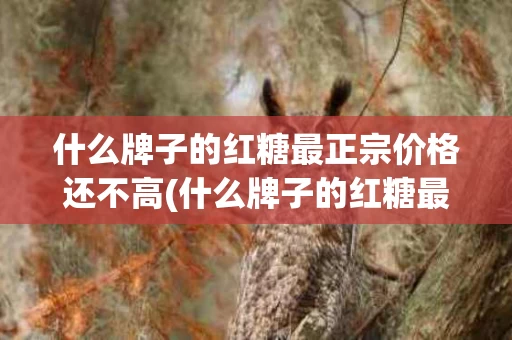 什么牌子的红糖最正宗价格还不高(什么牌子的红糖最正宗价格还不高的)