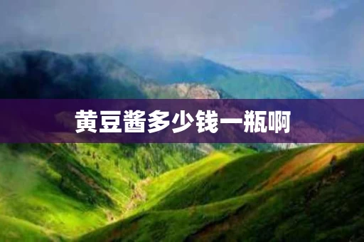 黄豆酱多少钱一瓶啊