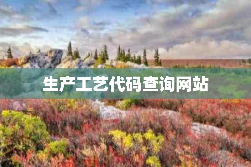 生产工艺代码查询网站