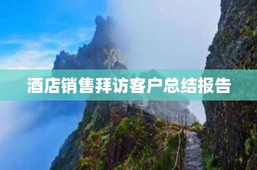 酒店销售拜访客户总结报告