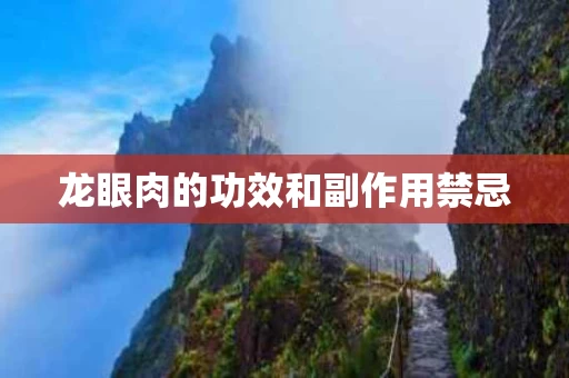 龙眼肉的功效和副作用禁忌