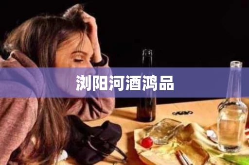 浏阳河酒鸿品