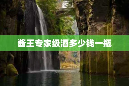 酱王专家级酒多少钱一瓶
