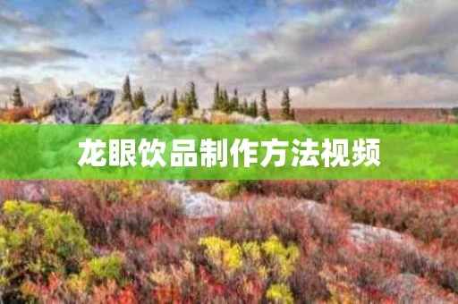 龙眼饮品制作方法视频