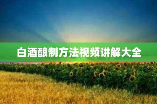 白酒酿制方法视频讲解大全