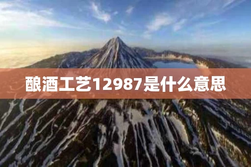 酿酒工艺12987是什么意思