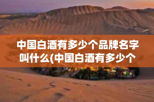 中国白酒有多少个品牌名字叫什么(中国白酒有多少个品牌名字叫什么来着)