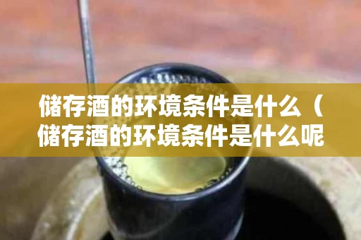 储存酒的环境条件是什么（储存酒的环境条件是什么呢）