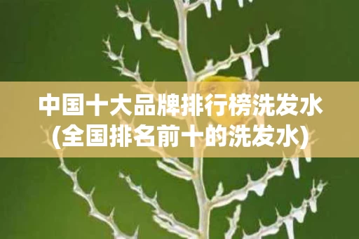 中国十大品牌排行榜洗发水(全国排名前十的洗发水)