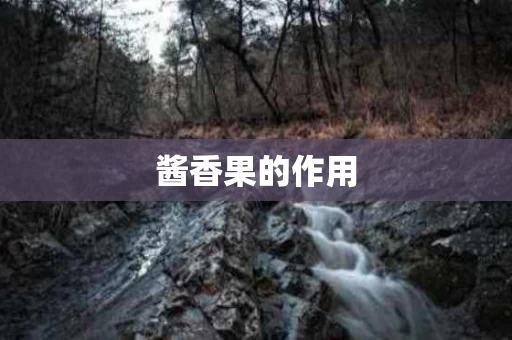 酱香果的作用