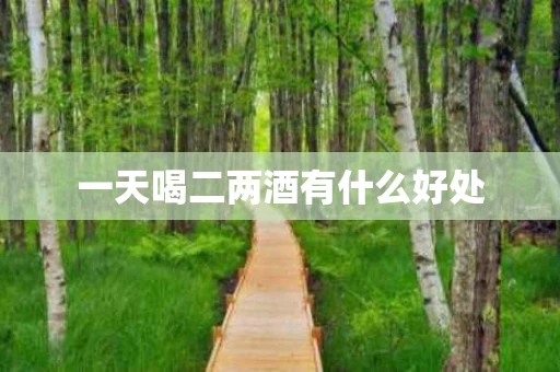 一天喝二两酒有什么好处