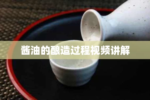 酱油的酿造过程视频讲解
