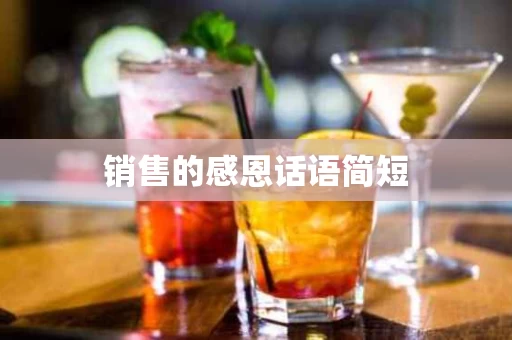 销售的感恩话语简短