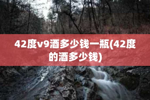 42度v9酒多少钱一瓶(42度的酒多少钱)