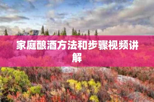 家庭酿酒方法和步骤视频讲解