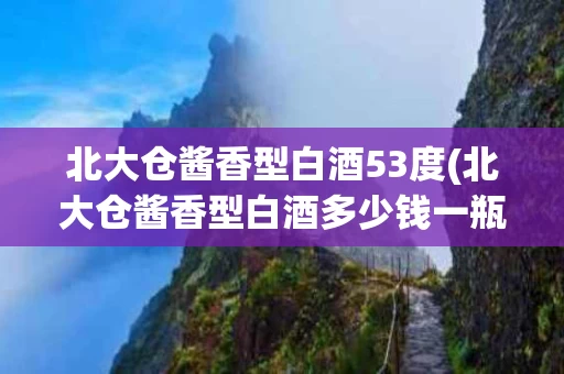 北大仓酱香型白酒53度(北大仓酱香型白酒多少钱一瓶)