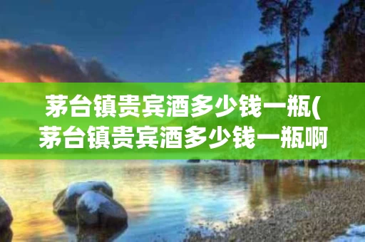 茅台镇贵宾酒多少钱一瓶(茅台镇贵宾酒多少钱一瓶啊)