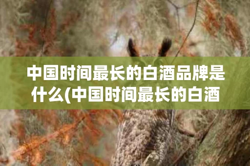 中国时间最长的白酒品牌是什么(中国时间最长的白酒品牌是什么品牌)