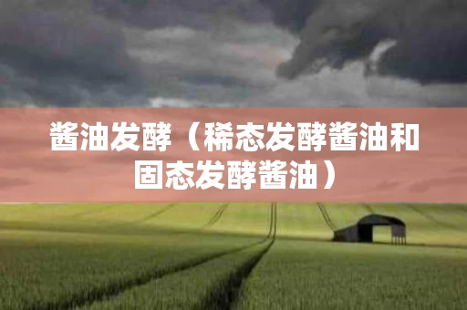 酱油发酵（稀态发酵酱油和固态发酵酱油）