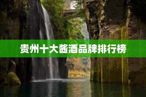 贵州十大酱酒品牌排行榜