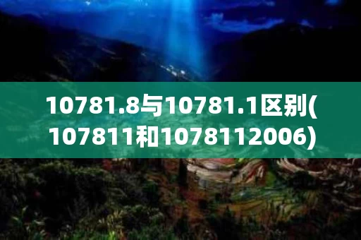 10781.8与10781.1区别(107811和1078112006)