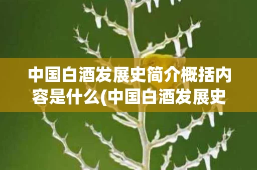 中国白酒发展史简介概括内容是什么(中国白酒发展史简介概括内容是什么呢)