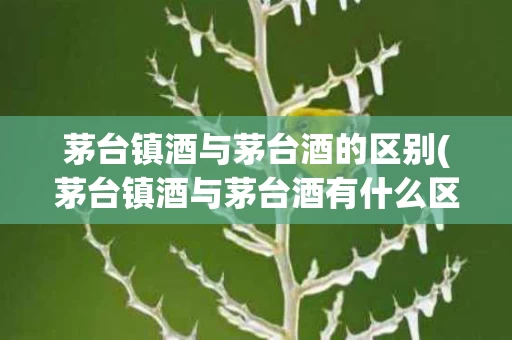 茅台镇酒与茅台酒的区别(茅台镇酒与茅台酒有什么区别)