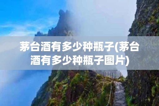 茅台酒有多少种瓶子(茅台酒有多少种瓶子图片)