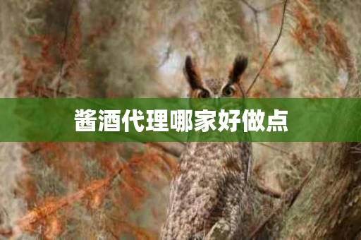 酱酒代理哪家好做点