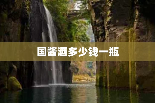 国酱酒多少钱一瓶