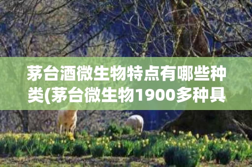 茅台酒微生物特点有哪些种类(茅台微生物1900多种具体是)