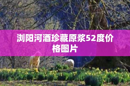 浏阳河酒珍藏原浆52度价格图片