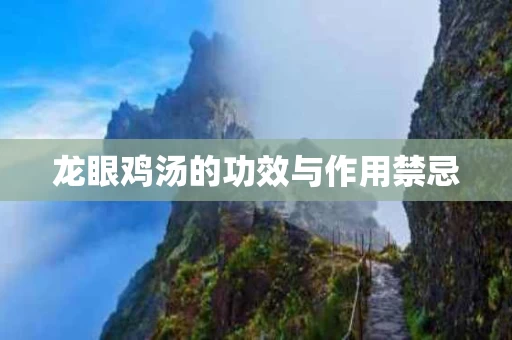 龙眼鸡汤的功效与作用禁忌