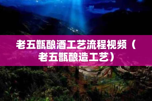 老五甑酿酒工艺流程视频（老五甑酿造工艺）