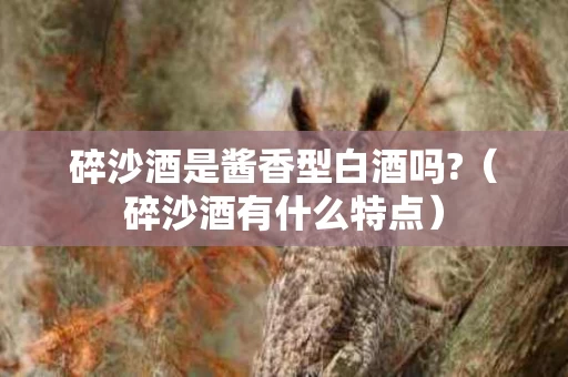碎沙酒是酱香型白酒吗?（碎沙酒有什么特点）