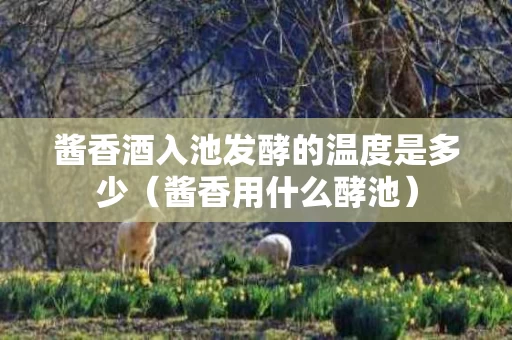酱香酒入池发酵的温度是多少（酱香用什么酵池）
