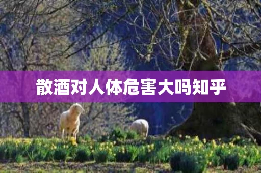 散酒对人体危害大吗知乎